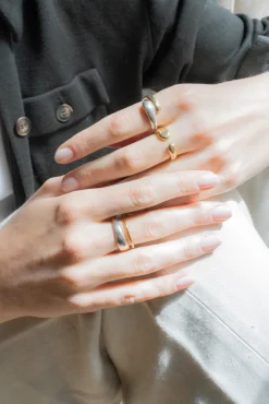 Philippe Audibert Ring Tobias Bicolore New